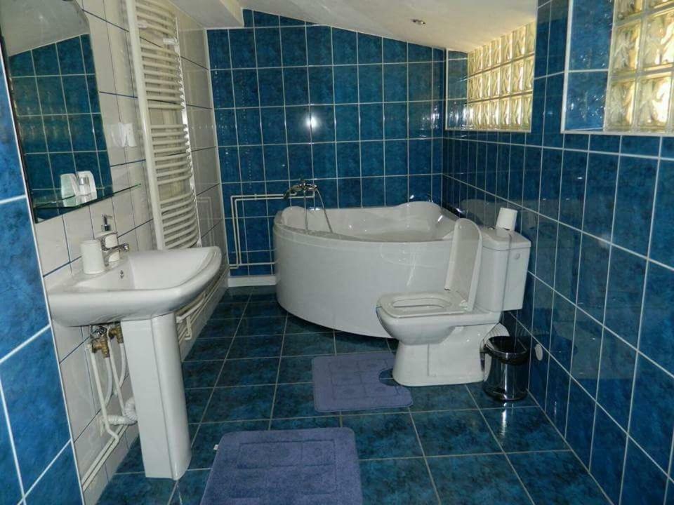Casa Cristian Villa Sinaia Luaran gambar