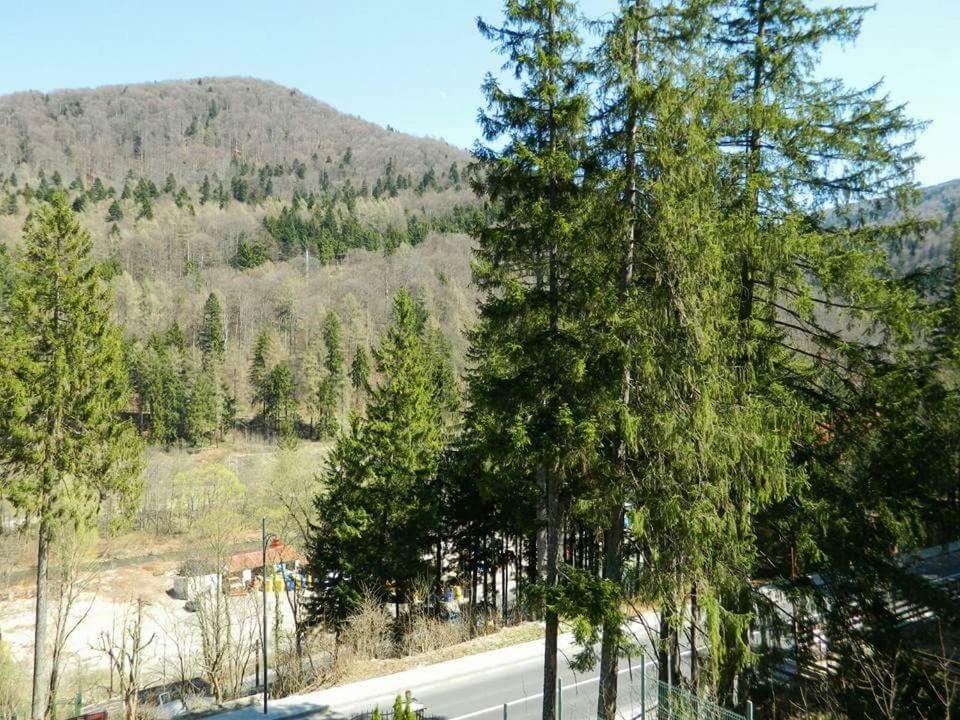 Casa Cristian Villa Sinaia Luaran gambar